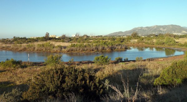 Expertos abogan por el uso racional del agua subterránea como alternativa frente al cambio climático