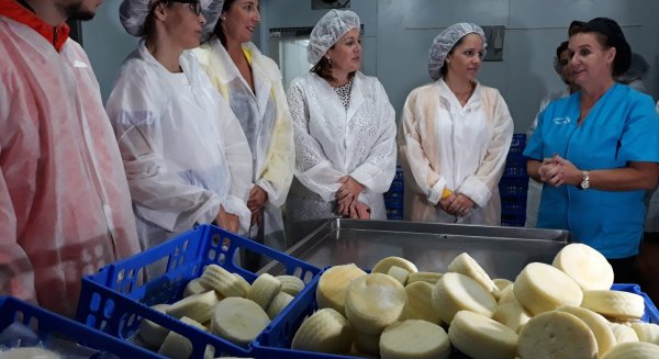 La Noria impulsa un proyecto para la inserción sociolaboral de personas con diversidad funcional
