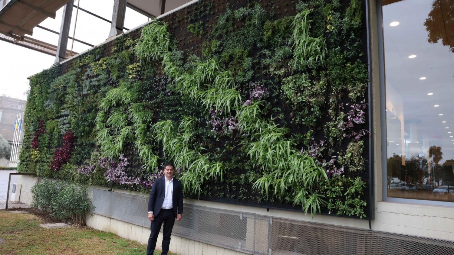 Diputación instala en su fachada un jardín vertical de 52 metros cuadrados con 3.500 plantas