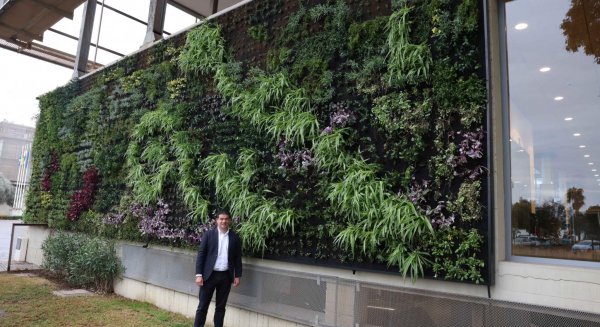 Diputación instala en su fachada un jardín vertical de 52 metros cuadrados con 3.500 plantas