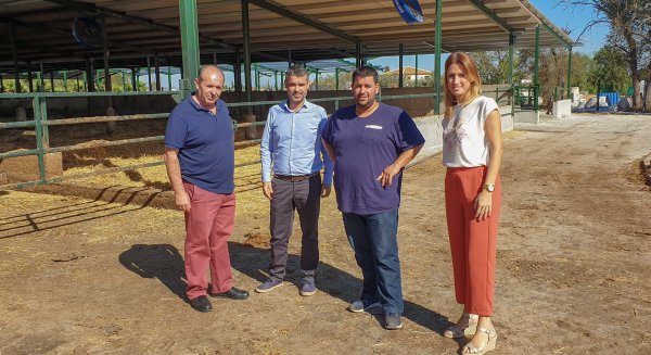 El PSOE propone crear una ventanilla única para reducir la carga burocrática del sector agroganadero