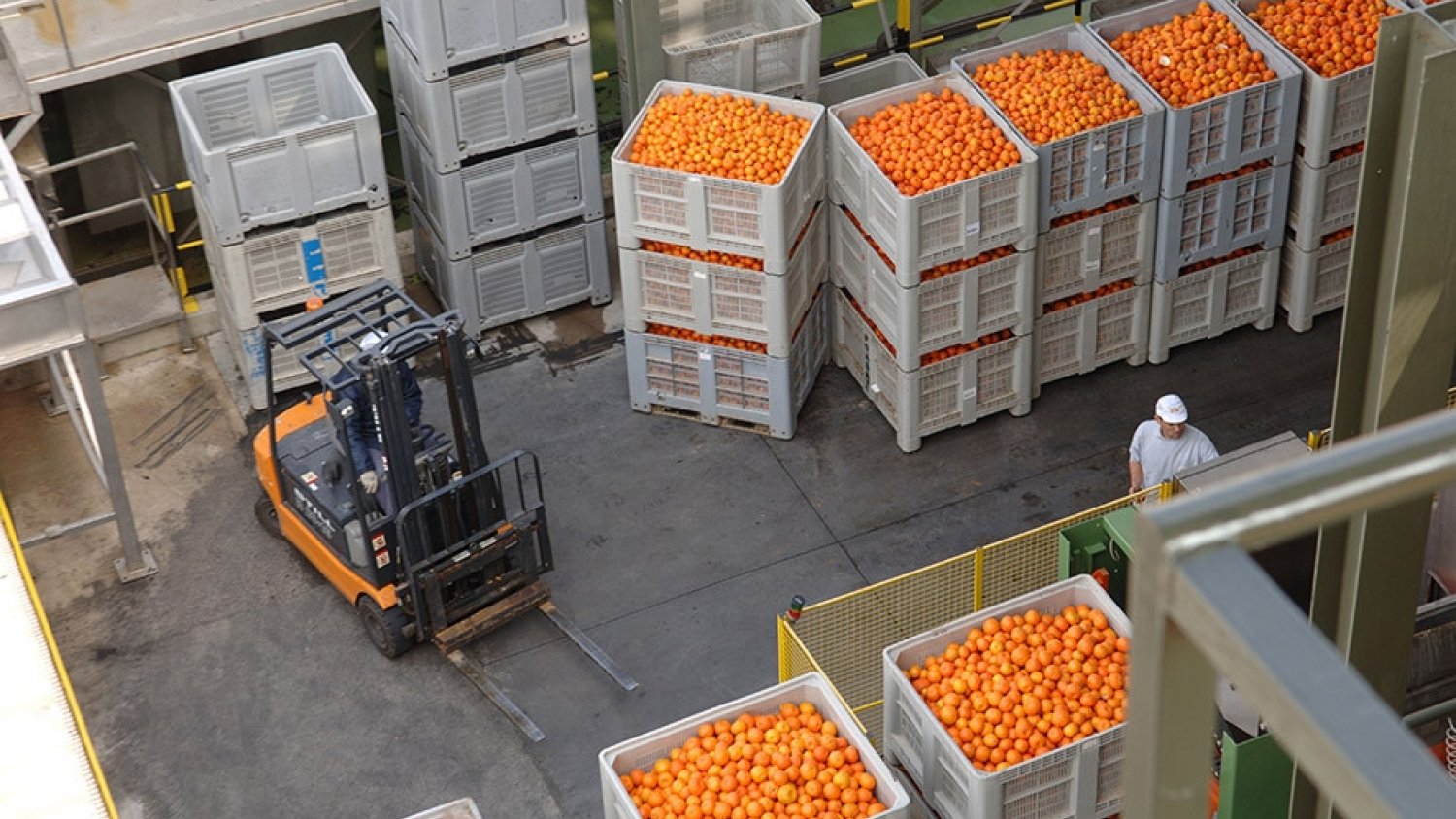 El impacto en las exportaciones agroalimentarias de los aranceles de EEUU ronda los 315 millones