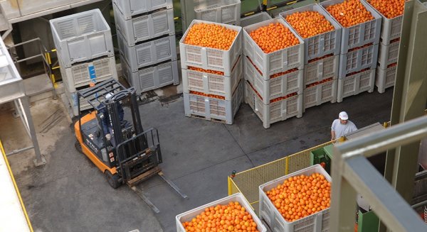 El impacto en las exportaciones agroalimentarias de los aranceles de EEUU ronda los 315 millones