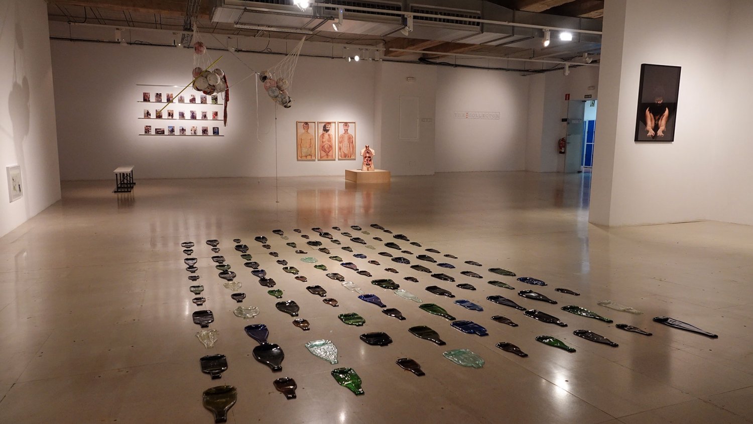 ‘The Collector’ abre la temporada artística en la Facultad de Bellas Artes