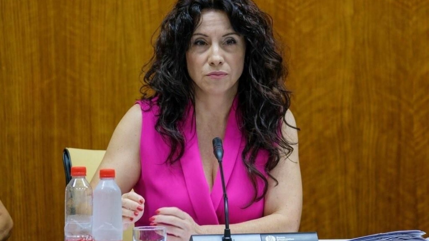 La consejera de Igualdad condena el presunto asesinato machista de Dana Leonte