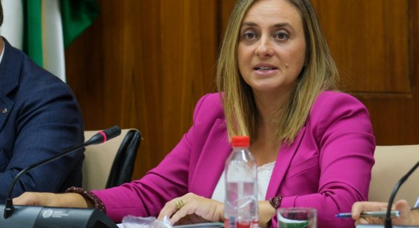 La Junta destaca que las obras del carril BUS-VAO del PTA de Málaga están ya al 36% de ejecución