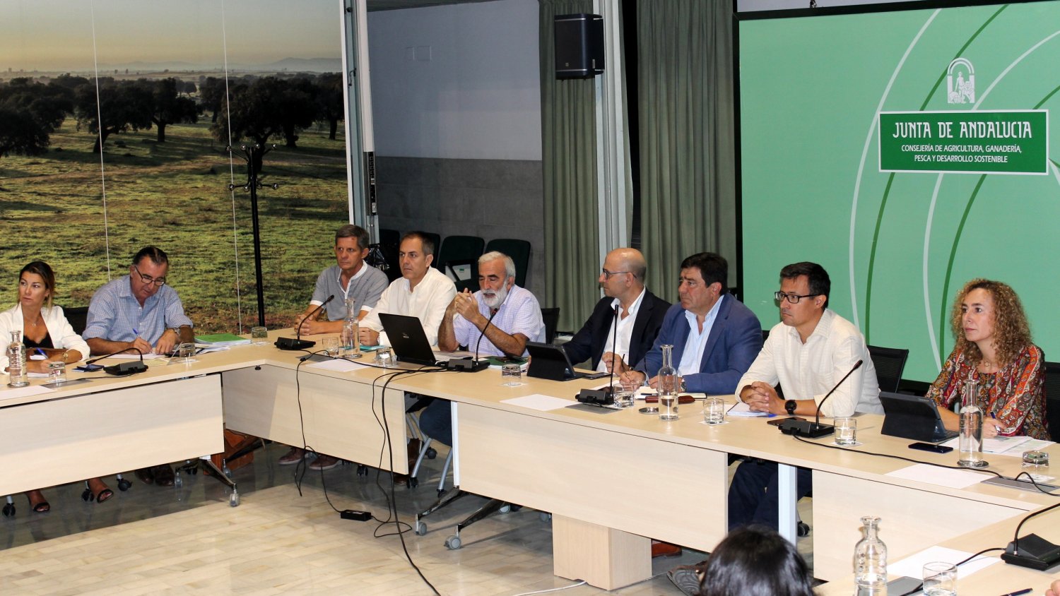 La Junta prevé que la campaña 2019-2020 alcance las 397.300 toneladas de aceituna de mesa
