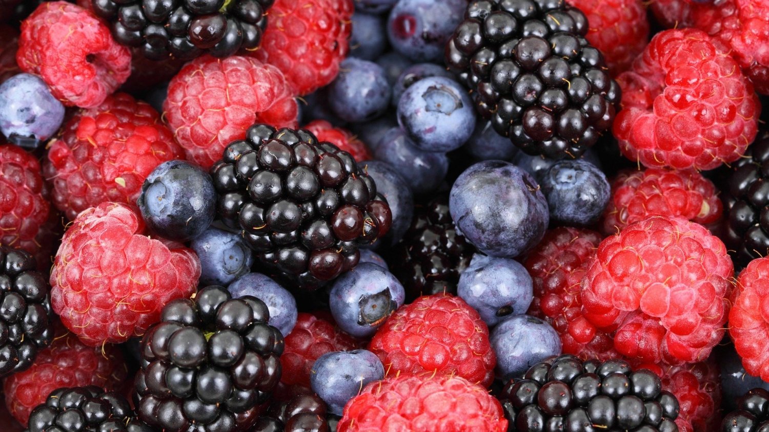 Récord de exportaciones de frutos rojos de Andalucía, con 1.300 millones