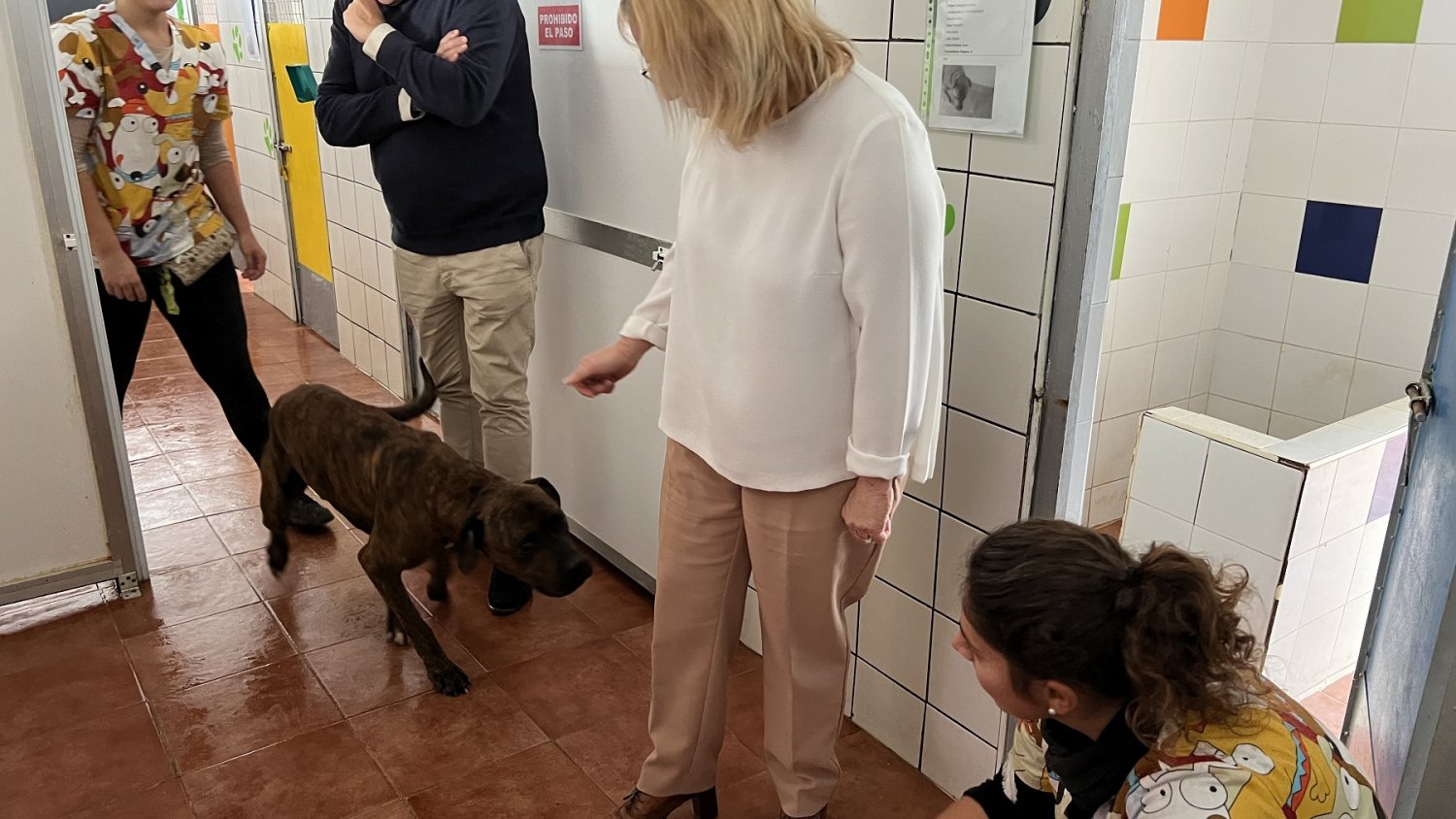 Fuengirola evita por tercer año consecutivo el sacrificio de animales en el Parque Zoosanitario
