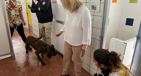 Fuengirola evita por tercer año consecutivo el sacrificio de animales en el Parque Zoosanitario