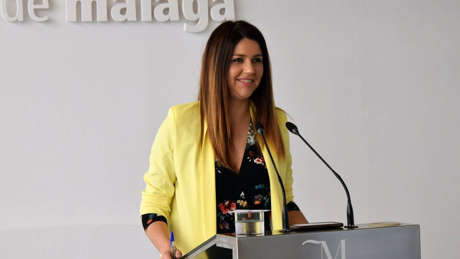 El PSOE plantea a la Diputación la realización de una campañan contra la violencia machista en los municipios menores de 20.000 habitantes