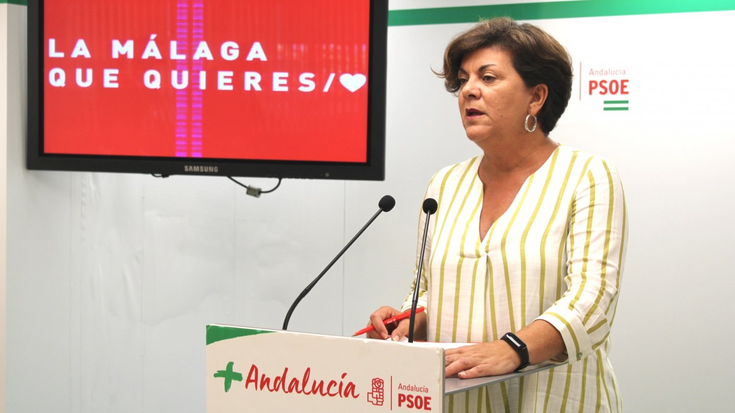 El PSOE acusa al Gobierno andaluz de enterrar la historia de Málaga 