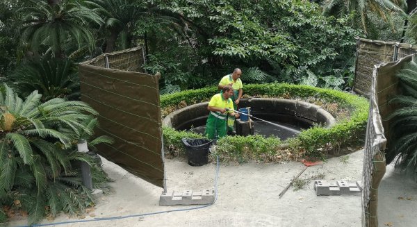El Ayuntamiento valora en 10.778 euros los daños provocados por el vehículo que impactó en el Jardín de la Concepción