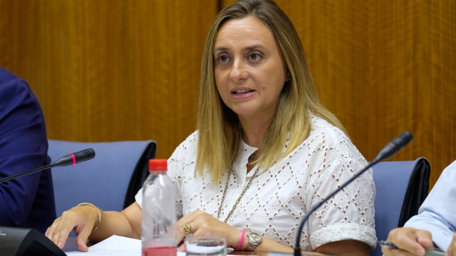 La Junta iniciará este año el estudio de viabilidad de la carretera entre Arcos y Antequera