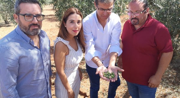 El PSOE presentará iniciativas en la Diputación para tratar de paliar los efectos de la gota fría en Sierra de las Yeguas y Campillos