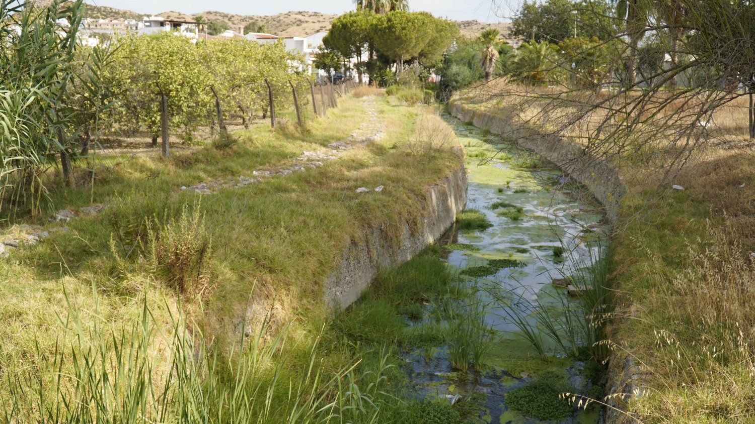 El PSOE exige una actuación urgente en el arroyo de Cantos: 