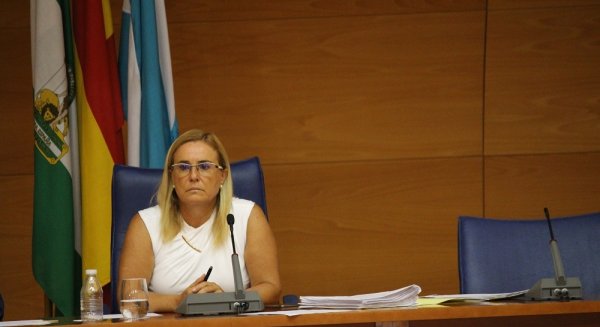 Fuengirola impulsará el desarrollo urbanístico de la zona norte de Carvajal, un área con más de 28.700 metros cuadrados