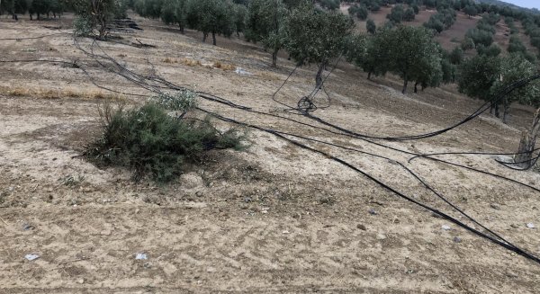 ASAJA hace un llamamiento a los afectados del temporal para que contacten con ellos y puedan valorar los daños