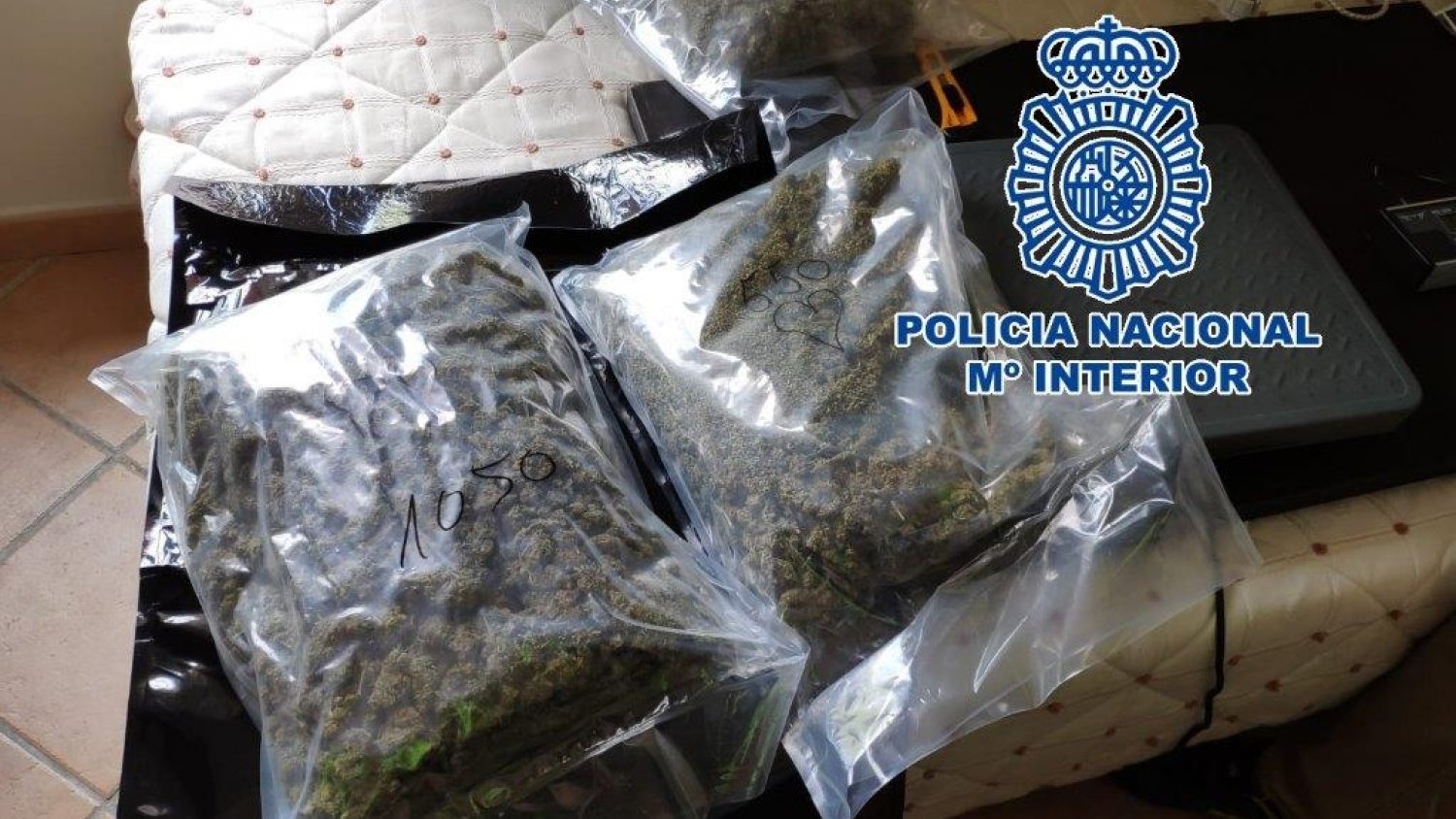 Desmantelada en Málaga una red criminal de origen británico especializada en envíos de droga por agencias de paquetería
