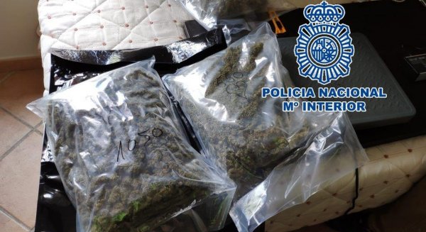Desmantelada en Málaga una red criminal de origen británico especializada en envíos de droga por agencias de paquetería