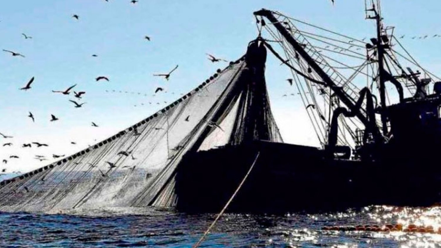 La Junta de Andalucía reclama un reparto más equitativo de la cuota de pesca de sardina entre España y Portugal