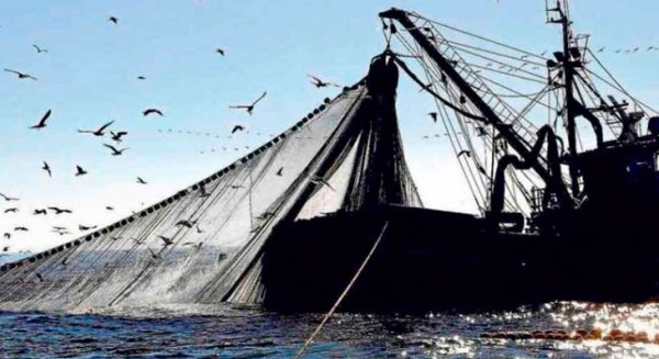 La Junta de Andalucía reclama un reparto más equitativo de la cuota de pesca de sardina entre España y Portugal