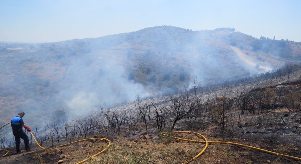 Detenido un hombre al que acusan de haber provocado ocho incendios en Mijas en un periodo de quince días