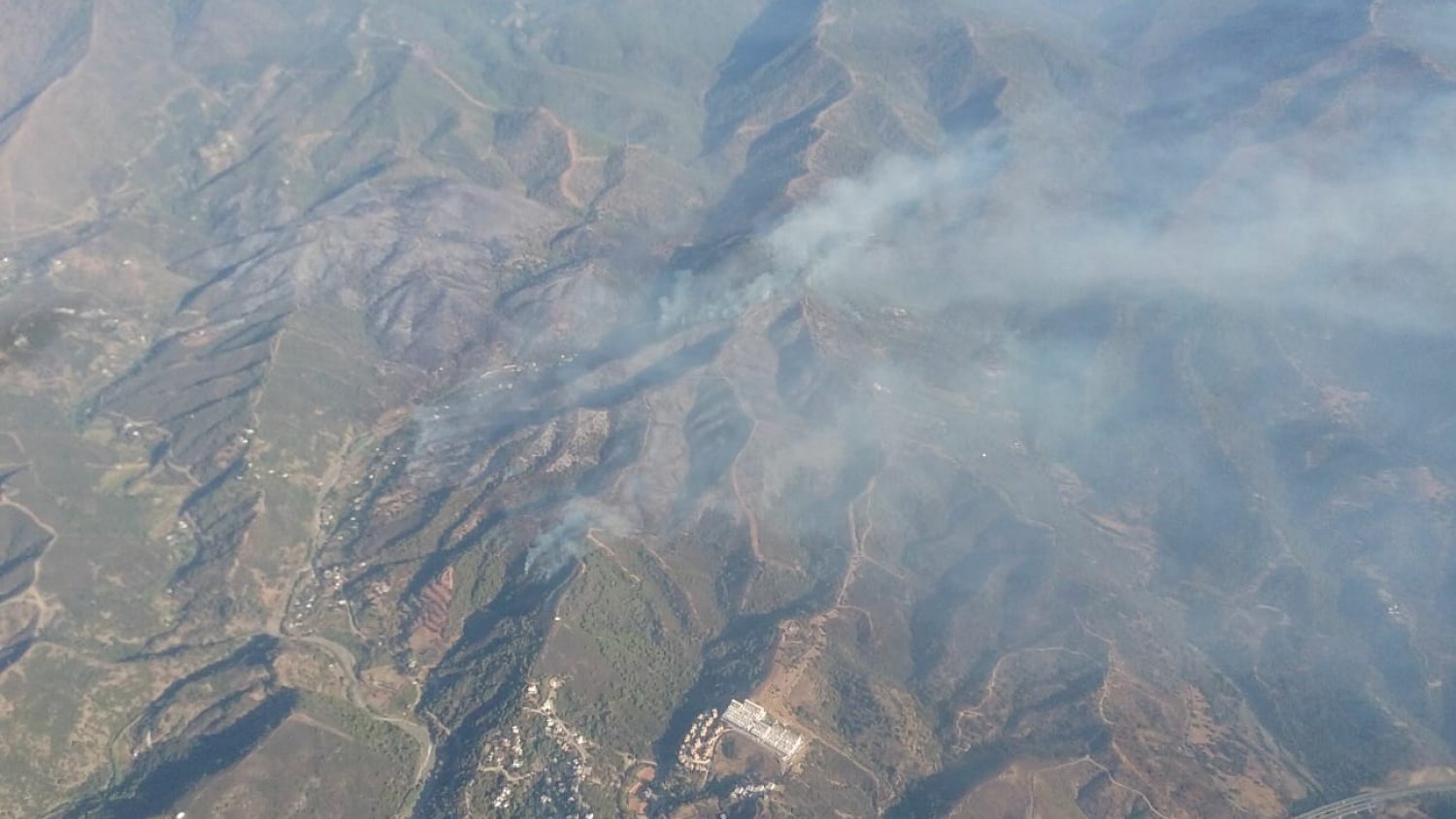 El Ayuntamiento de Estepona incluirá una partida económica en el presupuesto de 2020 para reforestar la zona afectada por el incendio