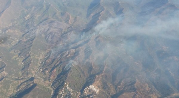 El Ayuntamiento de Estepona incluirá una partida económica en el presupuesto de 2020 para reforestar la zona afectada por el incendio