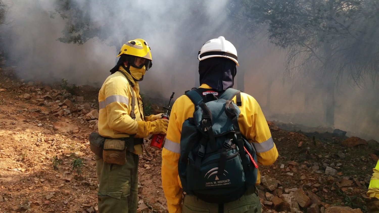 Controlado el incendio de Marbella que obligó a desalojar a 40 viviendas