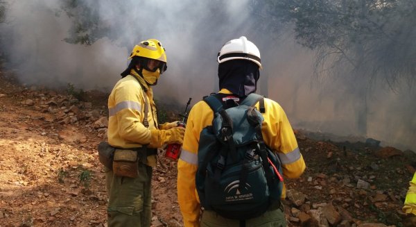 Controlado el incendio de Marbella que obligó a desalojar a 40 viviendas