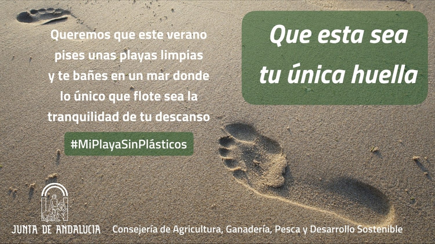 La Junta desarrolla una campaña en las redes sociales para concienciar sobre el daño ambiental de los plásticos en las playas