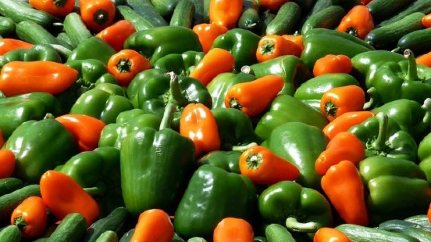 La Junta abre nueva convocatoria de ayudas para las Organizaciones de Productores de Frutas y Hortalizas