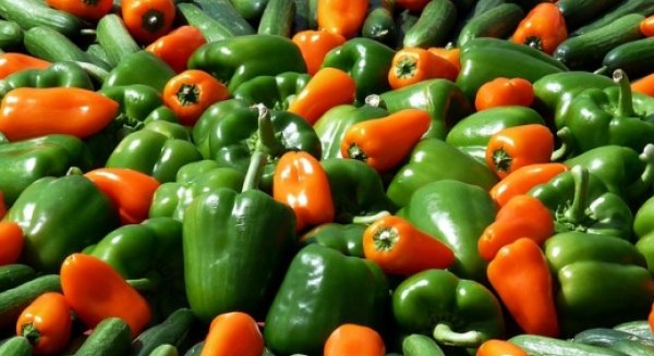 La Junta abre nueva convocatoria de ayudas para las Organizaciones de Productores de Frutas y Hortalizas