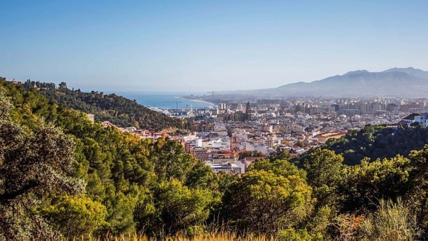 El incendio de Estepona queda estabilizado