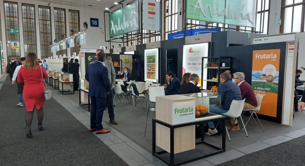Andalucía bate récord de exportación de frutas y hortalizas con 5.135 millones de euros