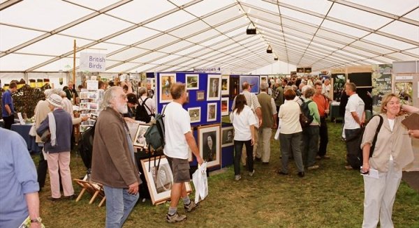 Andalucía participará en la ‘British Birdwatching Fair’ buscando consolidarse como destino referente en turismo ornitológico