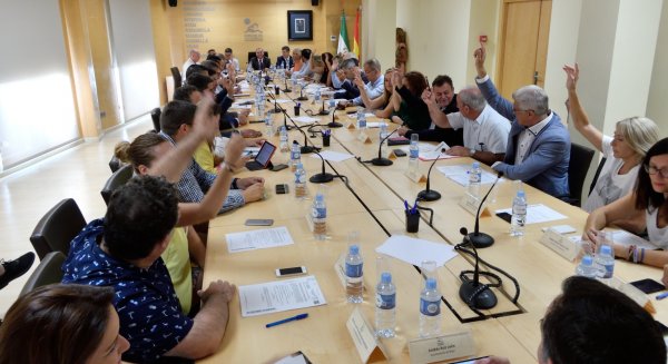La Mancomunidad aprueba por unanimidad su estructura orgánica que contará con cuatro vicepresidencias y quince delegaciones