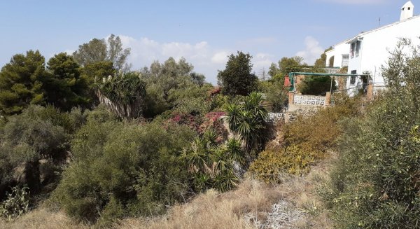 Adelante Málaga visita la Urbanización Peinado Grande para denunciar la situación de abandono que vive la parcela que se incendió días atrás