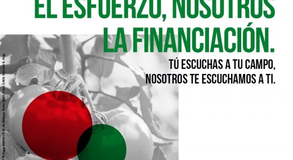 Unicaja Banco lanza una nueva campaña de financiación de cultivos intensivos con 426 millones de euros