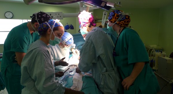 El Sector Málaga de Trasplantes alcanza las 65 donaciones con 116 injertos de órganos en los siete primeros meses del año