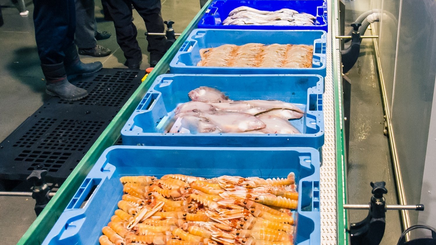 La Junta destina diez millones más de presupuesto para ayudas que respaldan la transformación de productos pesqueros y acuícolas