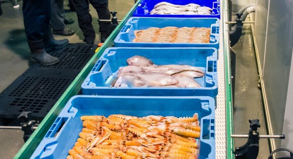 La Junta destina diez millones más de presupuesto para ayudas que respaldan la transformación de productos pesqueros y acuícolas
