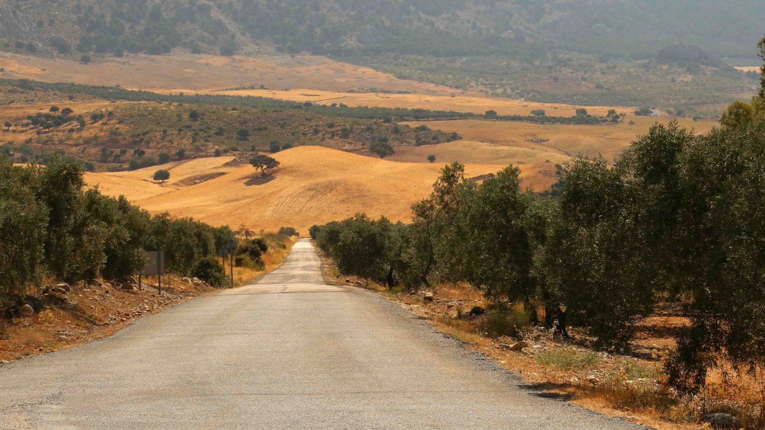 La Diputación destina medio millón de euros para mejorar una de las vías de acceso a la Sierra de las Nieves