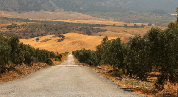 La Diputación destina medio millón de euros para mejorar una de las vías de acceso a la Sierra de las Nieves