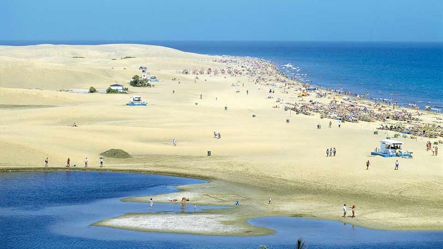 La Policía Nacional detiene en Marbella al hombre que asestó varias apuñaladas a un individuo en la Playa del Inglés de Maspalomas