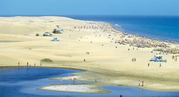 La Policía Nacional detiene en Marbella al hombre que asestó varias apuñaladas a un individuo en la Playa del Inglés de Maspalomas