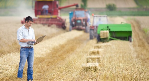 Andalucía se suma a un proyecto de vanguardia en agricultura y pesca frente al cambio climático