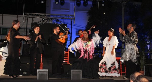La XXVII Noche Flamenca ‘Villa de Alhaurín el Grande’ acoge a 1.500 personas en el colegio Emilia Olivares
