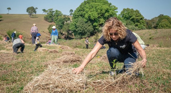 Andalucía cuenta con 3.000 entidades de voluntariado que crecen en casi 700 en diez años